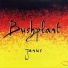 Bushplant