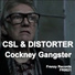 CSL, Distorter
