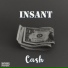 InsanT