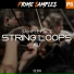 Prime Samples