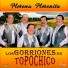 Los Gorriones Del Topo Chico