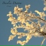Painless Destiny
