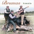 Brumas