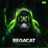 BegaCat