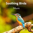 Bird Songs Nature Music Specialists