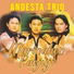 Andesta Trio