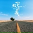 陈雅森