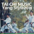 Tai Chi Shoes