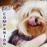 Calm Pets Music Academy