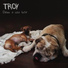 Troy Rossilho