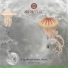 Padre