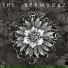 The Bermudaz