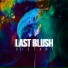 Last Blush