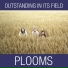 Plooms