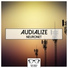 Audialize, Suria