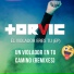 Torvic