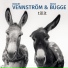 Robert Vennström, Heine Bugge