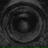 Secrets Of The Moon -2015