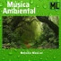 Musica Relajante