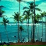 Tropical Christmas Groove
