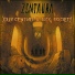 Zentaura