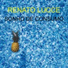 RENATO LUCCE