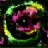 LowSun