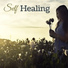Healing Naturists & Chakra Healing