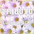Lucio Aracri