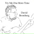 David Bromberg