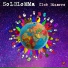 Solblomma