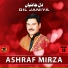 Ashraf Mirza