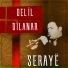 Delil Dilanar