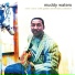 Muddy Waters feat. Sunnyland Slim