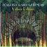 Valdecir Palhares feat. Marianne Lima, Rosinha