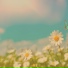Relaxation Sleep Meditation, Deep Sleep, Spa