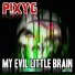 PixyG