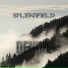 Spleanfield