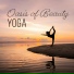Buddha Lounge Ensemble, Relax Meditate Sleep