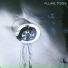 Fluke