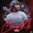 Steelo