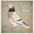 Fetsum