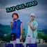 Los del fino feat. Vm Ganster
