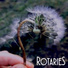 Rotaries