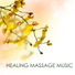 Healing Massage Music Masters