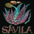 Sávila