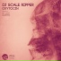 Dj Scale Ripper