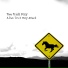 Two Trick Pony