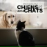 Musique Relaxante Relax