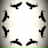 EHCO